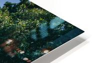 4J3A6678 HD Metal print