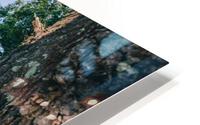 4J3A6627 HD Metal print