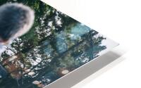 4J3A6608 HD Metal print
