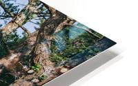 4J3A6637 HD Metal print