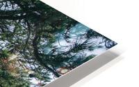 4J3A6660 HD Metal print