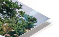 4J3A7570 HD Metal print