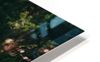 SF1A6571 HD Metal print