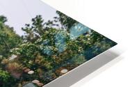 SF1A6914 HD Metal print