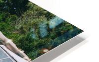 SF1A6514 HD Metal print