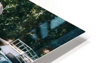 SF1A6452 HD Metal print