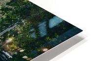 SF1A6978 HD Metal print