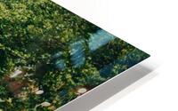 SF1A6942 HD Metal print