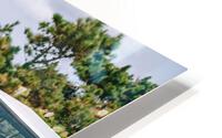 SF1A7096 HD Metal print