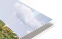SF1A7076 HD Metal print