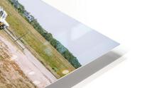 SF1A7125 HD Metal print