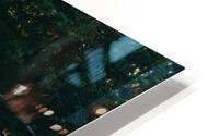 4J3A2704 HD Metal print