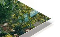 4J3A2679 HD Metal print
