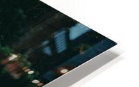 4J3A2650 HD Metal print