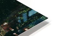 SF1A0847 HD Metal print