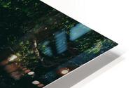 SF1A0832 HD Metal print