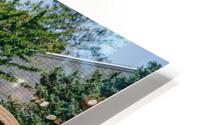 SF1A0787 HD Metal print