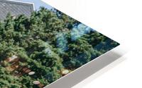 SF1A0850 HD Metal print