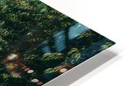 SF1A0872 HD Metal print