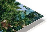 SF1A0788 HD Metal print