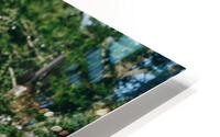 SF1A0766 HD Metal print
