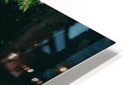 SF1A0860 HD Metal print