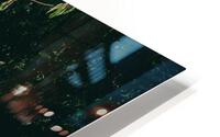 SF1A0870 HD Metal print