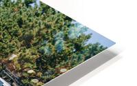 SF1A0815 HD Metal print