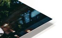 SF1A0801 HD Metal print