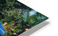 SF1A0762 HD Metal print