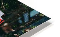 SF1A0829 HD Metal print