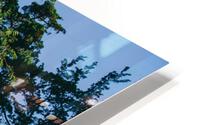 SF1A0811 HD Metal print