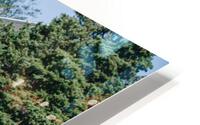 SF1A0794 HD Metal print