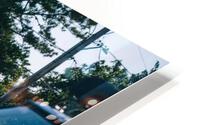 SF1A0770 HD Metal print