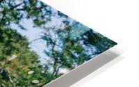 SF1A0767 HD Metal print