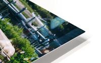 SF1A0777 HD Metal print