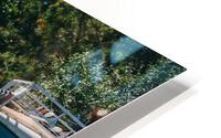 SF1A0925 HD Metal print