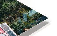 SF1A0960 HD Metal print