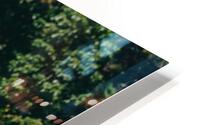SF1A0891 HD Metal print