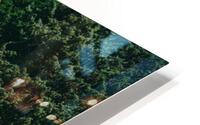 SF1A0980 HD Metal print