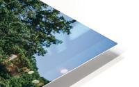 SF1A0986 HD Metal print
