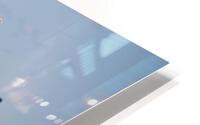 SF1A1094 HD Metal print