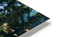 SF1A1005 HD Metal print