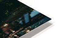 SF1A1023 HD Metal print
