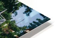 SF1A1017 HD Metal print