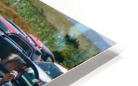SF1A1328 HD Metal print