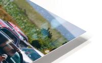 SF1A1327 HD Metal print