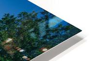 4J3A2774 HD Metal print