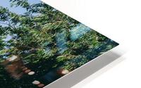 4J3A2879 HD Metal print
