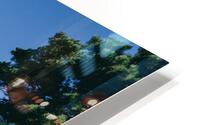 4J3A2980 HD Metal print